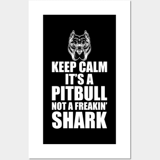 Pitbull - Keep calm it's a Pitbull not a freakin' shark Posters and Art